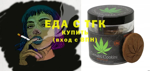 амф Гусев