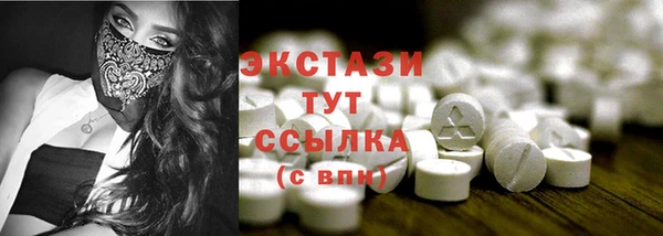 амф Гусев