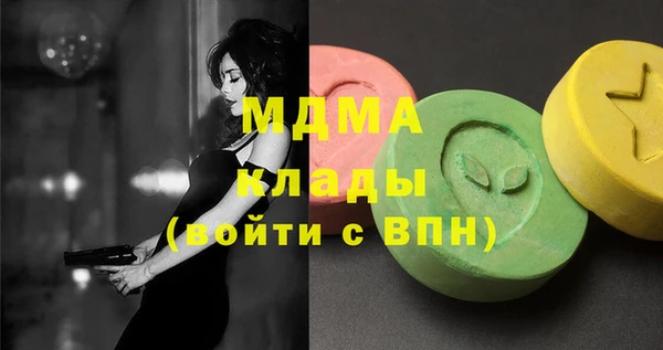 амф Гусев