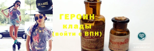 амф Гусев