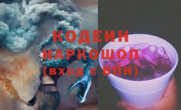 мдпв Осташков