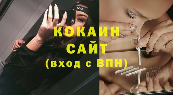 амф Гусев