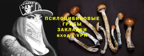 мдпв Осташков