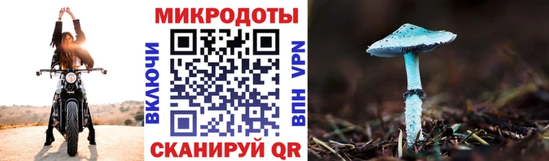Псилоцибиновые грибы Psilocybine cubensis  закладка  Емва 
